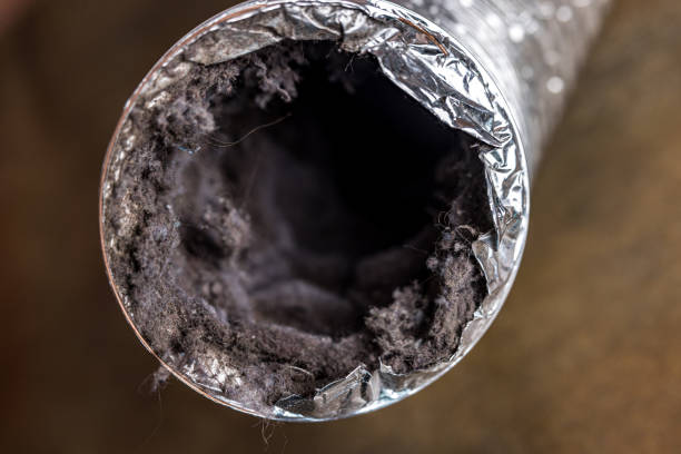 Best Affordable Duct Cleaning Services  in Adamstown, PA