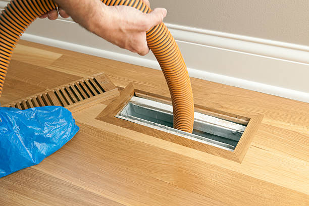 Air Duct Mold Removal in Adamstown, PA