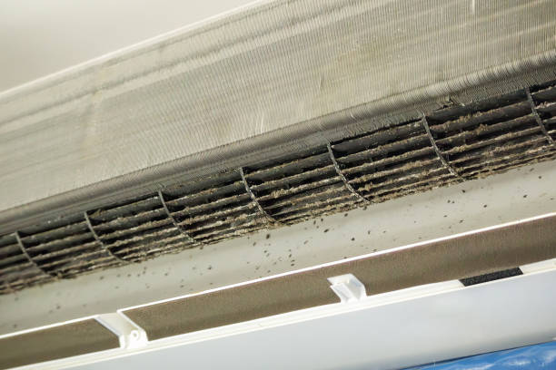 Best Commercial Air Duct Cleaning  in Adamstown, PA